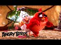 The Messy Lives Of Angry Birds 'Red, Chuck & Bomb' | The Angry Birds Movie (2016)