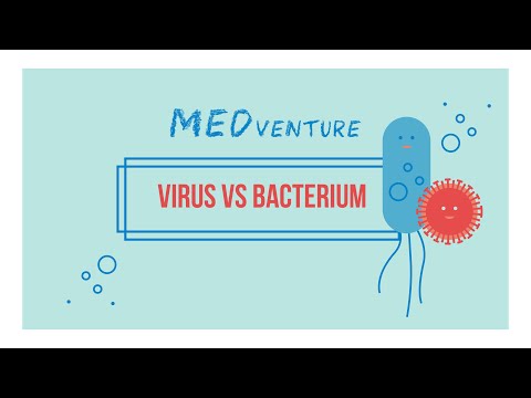 MEDventure: Virus vs. bacterium – What is the most important difference?