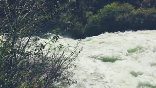 Acoustic Alchemy - The Stone Circle (Cover by Scotch and Coda Productions)