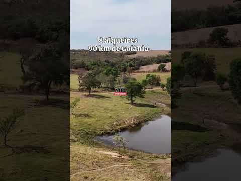 CHÁCARA À VENDA EM EDEALINA – GO | 8 alqueires goianos #chacaraavenda #agro