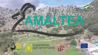 El Grupo Amaltea logra unificar los sistemas de gestión técnico-económica para caprino