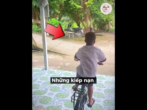 Mấy Đứa Nhà Gần Trường Kiểu #xuhuongyoutube