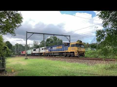 20230324_1409 5BS6 Gonarro