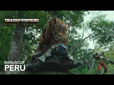 Vorschaubild für Video