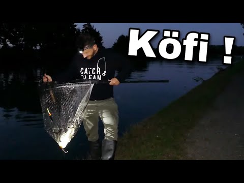 Köderfisch angeln auf dicke Kanal Aale