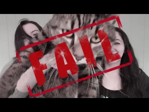 The AEngels Best Fails Troll Cat Edition