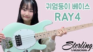 스털링 바이 뮤직맨 RAY4 베이스 리뷰