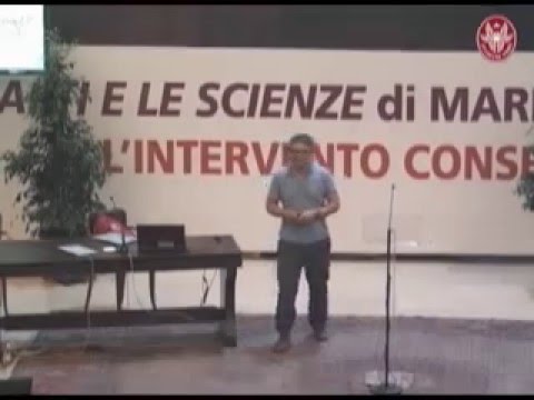 Plenary Lecture of Andrew Strominger at MG14 - Rome, July 2015