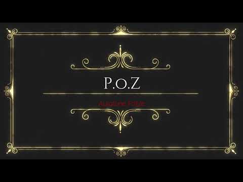 P.o.Z  -  Autotune Fotze