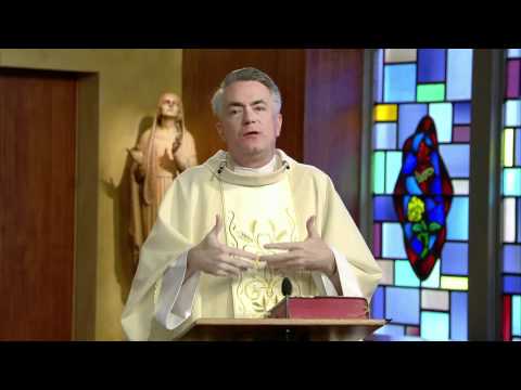 Father Palardy - St Anthony of Padua