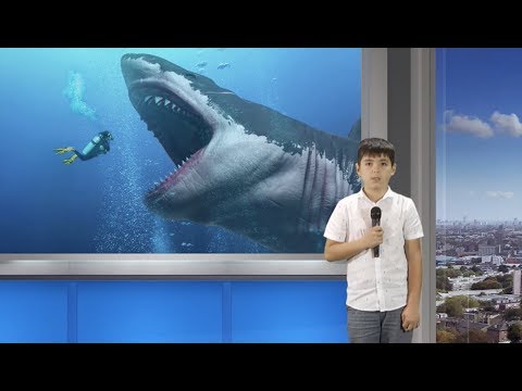 De Facto – MEGALODON (Ep. 6). Prezentator Karina Furnică, reporter Luca Burlacu