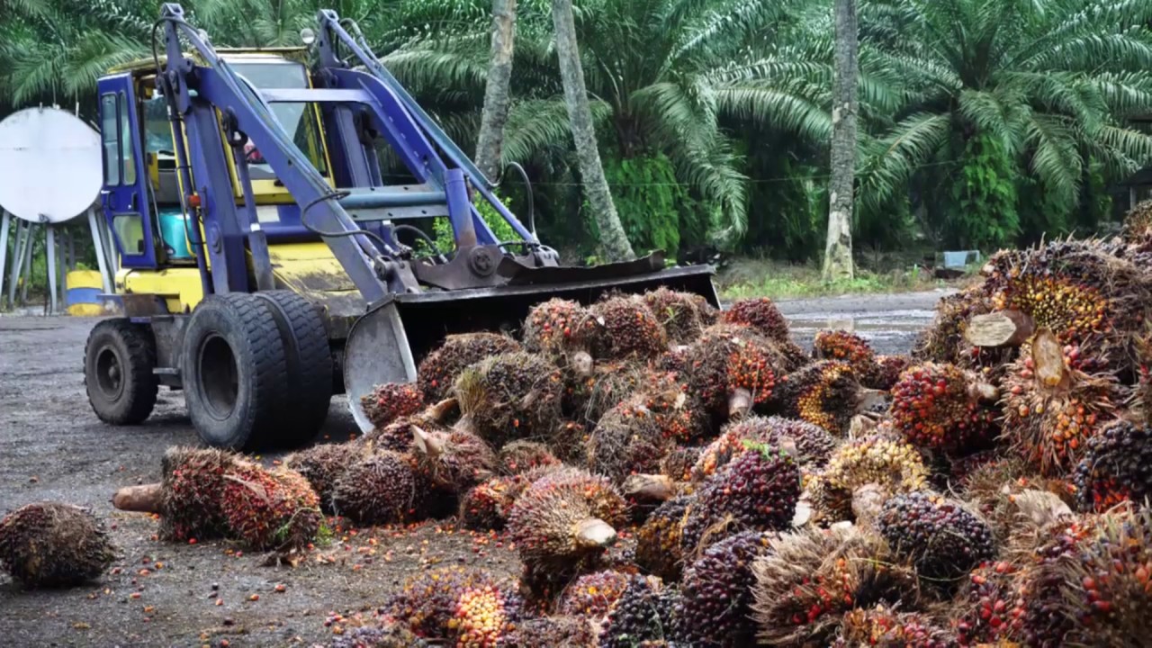 Food Security and Sustainability: Crop production | WageningenX on edX | Course About Video