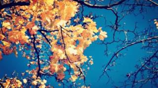 Alex Winston - Velvet Elvis