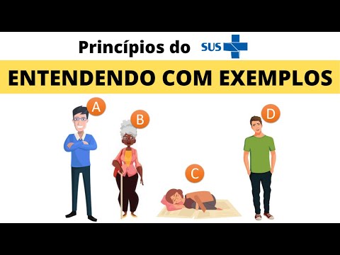 The principles of the SUS | Learning from examples