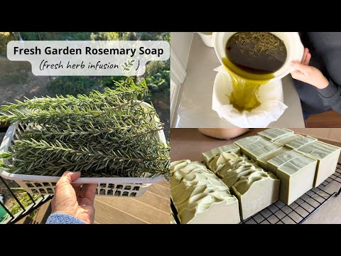 Making Soap with Fresh Rosemary from my Garden (fresh...
