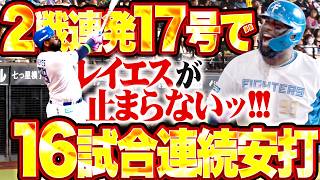 【16試合連続安打】レイエス『モーレが止まらない!! 2戦連発となる今季17号でキング栗原を猛追!!』
