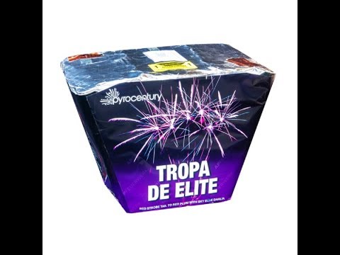 Feuerwerke Berlin Tropa de Elite 25 Schuss 2704-APF2041 www.pyrothron.com
