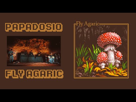 Papadosio - Fly Agaric (Official Video)