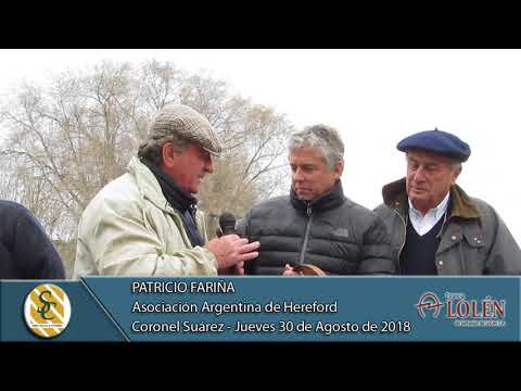 30-08-18 Patricio Fariña - A.A.C.H. - Serranías de Lolén S.A. - Coronel Suárez