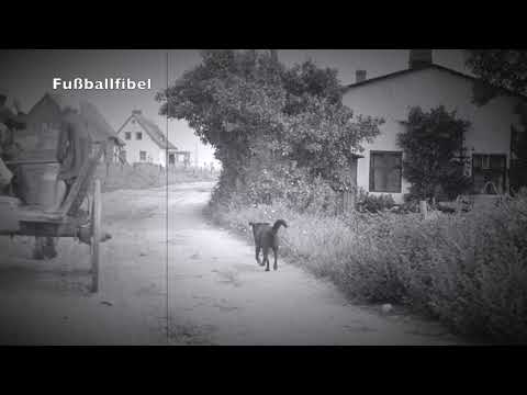 Kinderferienlager in Groß Köris (Kapitel aus einem Fußball-Roman)