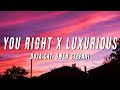 Doja Cat, Gwen Stefani - You Right X Luxurious (TikTok Mashup) [Lyrics]
