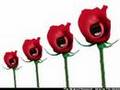 The Roses Of Success 