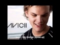 Avicii - hey brother (Speed up)