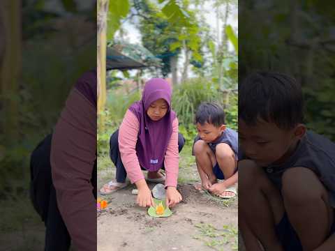 Burung kenari peliharaan nya mama mati#shorts