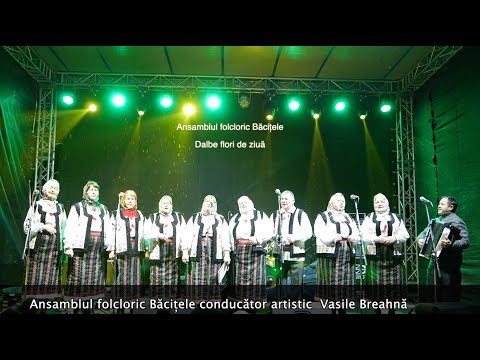 Ansamblul folcloric Băcițele - Dalbe flori de ziuă