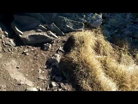 Vistea - Moldoveanu - traseu complet