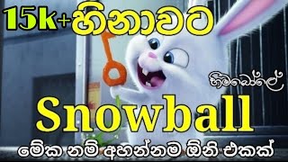 Snowball  Hinawata Adare hithuna ⛄ ⛄⛄