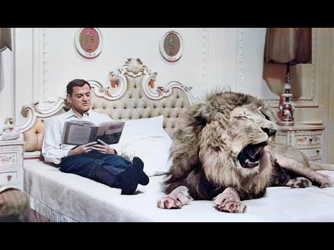 ♦Comedy Classics♦ 'Fluffy' (1965) Tony Randall, Shirley Jones
