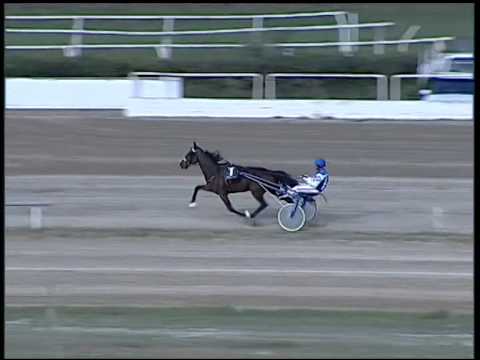 Trotto 23/10/2014 - 2° prova di riqualifica