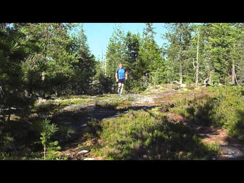 Trail running in Ounasvaara  | Rovaniemi  | Finland
