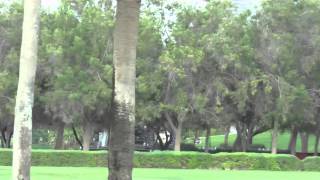 preview picture of video 'Al Safa Park at Dubai'
