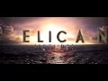 Pelican Pictures Film Logo 21 9