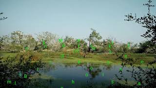 preview picture of video 'KEOLADEO NATIONAL PARK - BHARATPUR BIRD SANCTUARY'