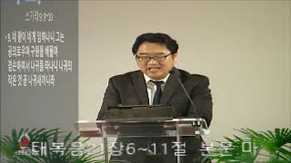 평화의 왕으로 입성하셨다