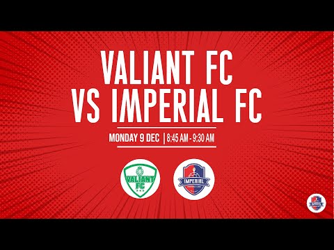 IKORODU CITY FC VS IMPERIAL FC (GLOBAL FOOTBALL SCOUTING TOURNAMENT)