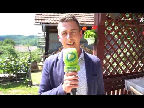 Ansambel Urok v novi skladbi s simpatičnim narečjem.