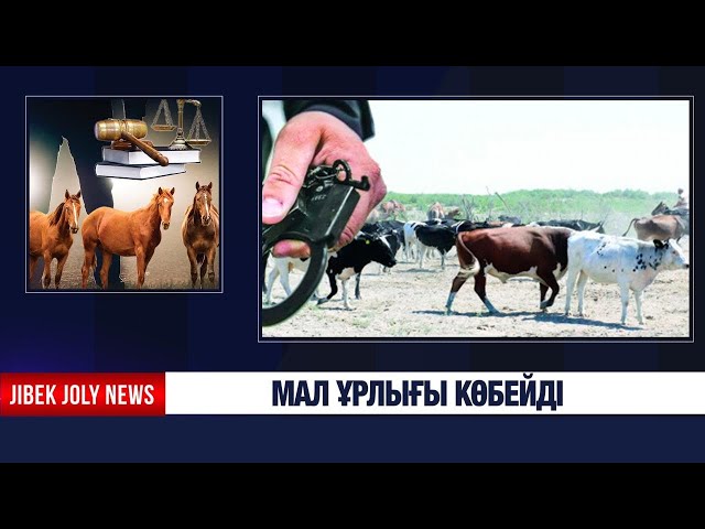 Полиция 113 барымташыны қамауға алды