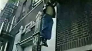 Seeds Of Life by Harlem River Drive.