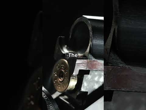 The Science Behind Gun Recoil