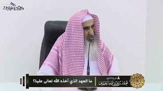 ما العهد الذي أخذه الله تعالى علينا ؟ image