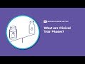 What Are Clinical Trial Phases