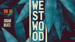 Video thumbnail for Glitch Hop Samples and Loops - Westwood Sounds Vol 4 - SugarBeats by Black Octopus Sound