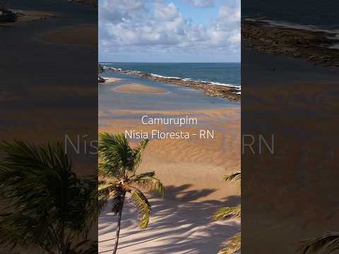 Paraíso Natural #camurupim #nisiafloresta #riograndedonorte #paraísotropical