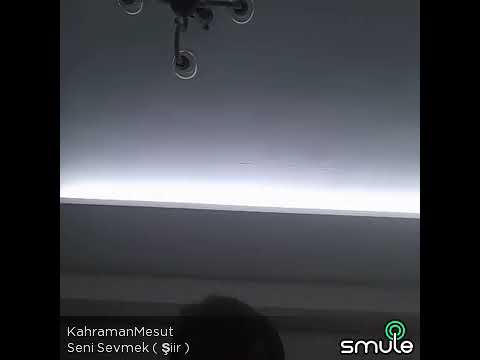 Seni sevmek nedir biliyormusun