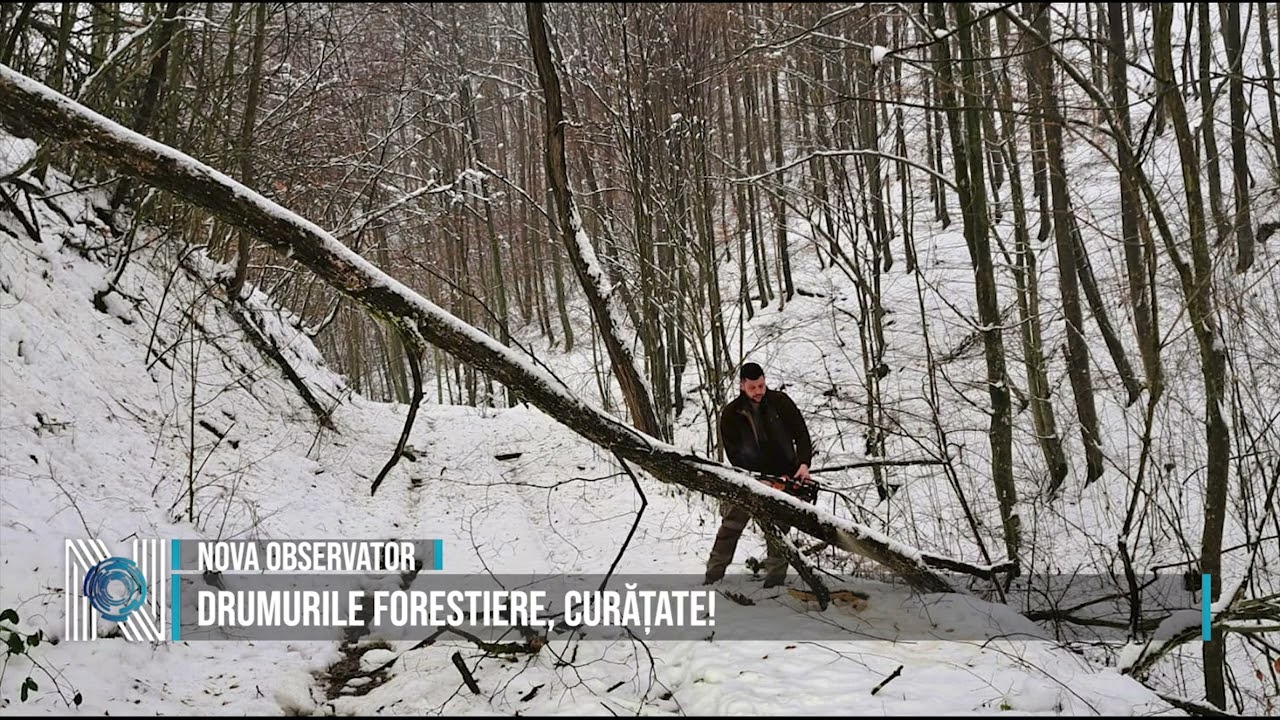 Drumurile forestiere, curățate!