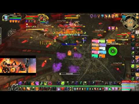 Primordius Norm kill!